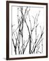 Dancing Branches III-Monika Burkhart-Framed Photographic Print