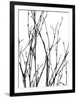 Dancing Branches III-Monika Burkhart-Framed Photographic Print