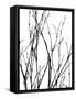 Dancing Branches III-Monika Burkhart-Framed Stretched Canvas