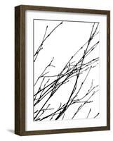 Dancing Branches IV-Monika Burkhart-Framed Photographic Print