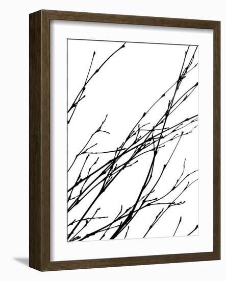 Dancing Branches IV-Monika Burkhart-Framed Photographic Print