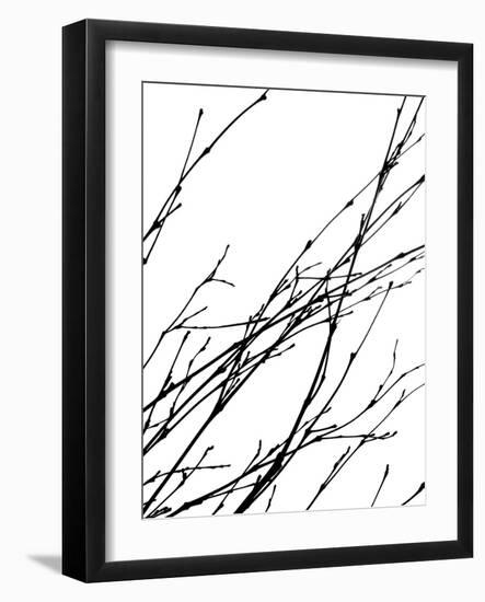 Dancing Branches IV-Monika Burkhart-Framed Photographic Print