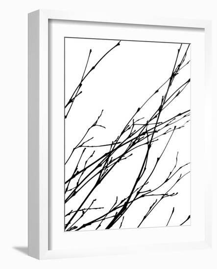 Dancing Branches IV-Monika Burkhart-Framed Photographic Print