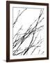 Dancing Branches IV-Monika Burkhart-Framed Photographic Print