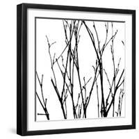 Dancing Branches V-Monika Burkhart-Framed Photographic Print