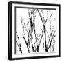 Dancing Branches V-Monika Burkhart-Framed Photographic Print