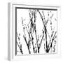 Dancing Branches V-Monika Burkhart-Framed Photographic Print