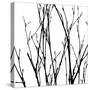 Dancing Branches V-Monika Burkhart-Stretched Canvas