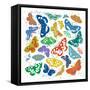 Dancing Butterflies-Jenny Frean-Framed Stretched Canvas