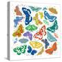 Dancing Butterflies-Jenny Frean-Stretched Canvas