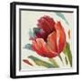 Dancing Colors II-Lisa Audit-Framed Art Print