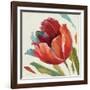 Dancing Colors II-Lisa Audit-Framed Art Print