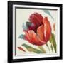 Dancing Colors II-Lisa Audit-Framed Art Print