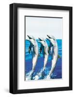 Dancing Dolphins-null-Framed Art Print