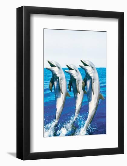 Dancing Dolphins-null-Framed Art Print