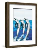 Dancing Dolphins-null-Framed Art Print