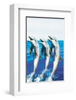 Dancing Dolphins-null-Framed Art Print