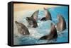 Dancing Dolphins-null-Framed Stretched Canvas