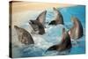 Dancing Dolphins-null-Stretched Canvas