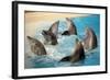 Dancing Dolphins-null-Framed Photographic Print