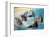 Dancing Dolphins-null-Framed Photographic Print