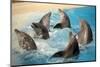 Dancing Dolphins-null-Mounted Photographic Print