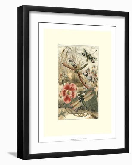 Dancing Dragonfly I-null-Framed Art Print