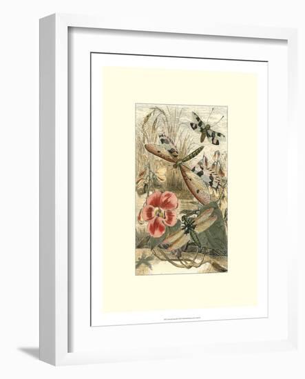 Dancing Dragonfly I-null-Framed Art Print