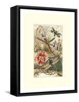 Dancing Dragonfly I-null-Framed Stretched Canvas