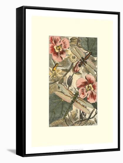 Dancing Dragonfly II-null-Framed Stretched Canvas