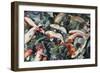 Dancing Fish-Mary Russel-Framed Giclee Print