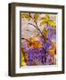 Dancing Flora-Ruth Palmer-Framed Art Print