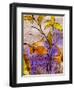 Dancing Flora-Ruth Palmer-Framed Art Print