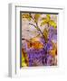 Dancing Flora-Ruth Palmer-Framed Art Print