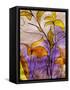 Dancing Flora-Ruth Palmer-Framed Stretched Canvas