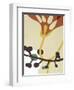 Dancing Flowers V-Mary Calkins-Framed Giclee Print