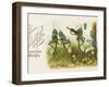 Dancing Grasshoppers - Russian Postcard-null-Framed Photographic Print