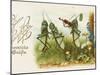 Dancing Grasshoppers - Russian Postcard-null-Mounted Photographic Print