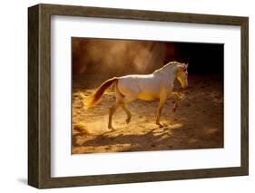 Dancing In The Light-Lisa Dearing-Framed Photographic Print