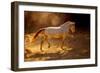 Dancing In The Light-Lisa Dearing-Framed Photographic Print