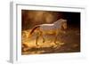 Dancing In The Light-Lisa Dearing-Framed Photographic Print