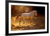 Dancing In The Light-Lisa Dearing-Framed Photographic Print