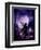 Dancing in the Moonlight-Julie Fain-Framed Art Print