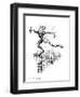 Dancing In the Rain, Conceptual Artwork-Bill Sanderson-Framed Photographic Print