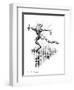 Dancing In the Rain, Conceptual Artwork-Bill Sanderson-Framed Photographic Print