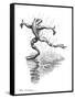 Dancing In the Rain, Conceptual Artwork-Bill Sanderson-Framed Stretched Canvas