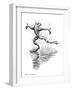 Dancing In the Rain, Conceptual Artwork-Bill Sanderson-Framed Photographic Print