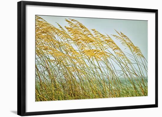 Dancing in the Wind-Mary Lou Johnson-Framed Art Print