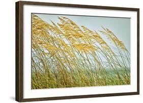 Dancing in the Wind-Mary Lou Johnson-Framed Art Print