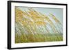 Dancing in the Wind-Mary Lou Johnson-Framed Art Print